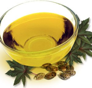 Castor Seeds Oil