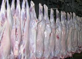 Fresh Chilled Halal Lamb<br>F-4004