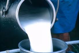 Milk<br>M-1223