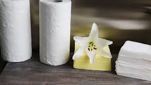 Tissues Rolls<br>PP-5001