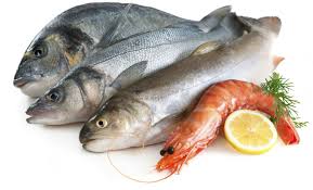 Red Snapper<br>S-6501