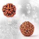 Rudraksh<br>G-2216
