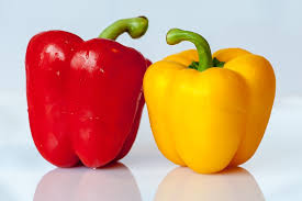 Bell Pepper/Capsicum<br>V-9004