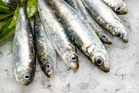 Anchovies<br>S-6503